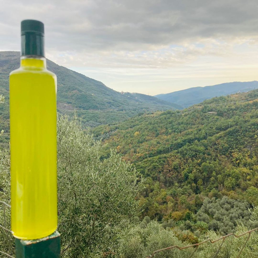 olio nuovo extravergine oliva
