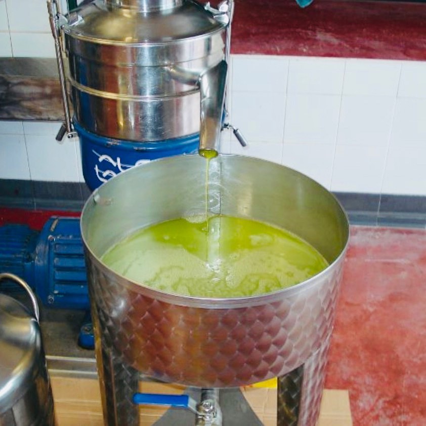 produzione olio extravergine oliva