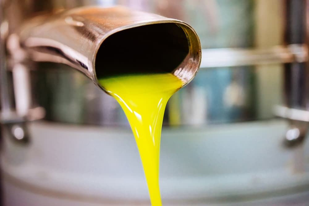 olio extravergine di olive taggiasche